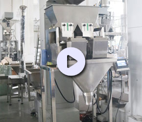 半自動(dòng)二斗稱顆粒包裝機(jī)